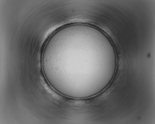 X0000116661030200912291633