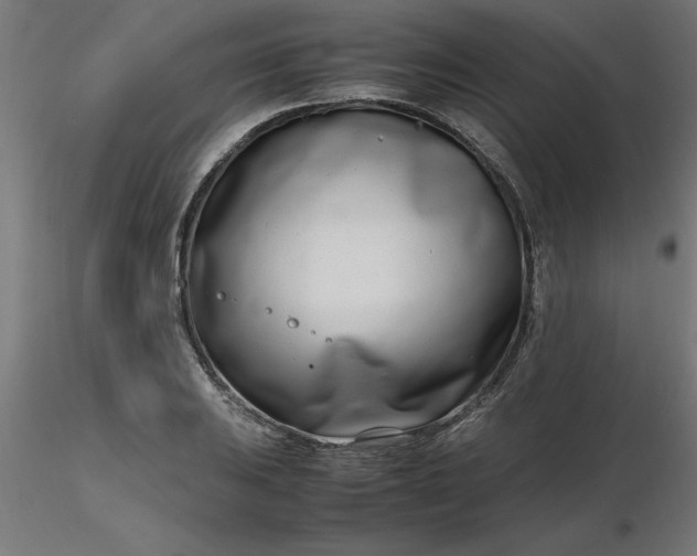 X0000116661031200912291633