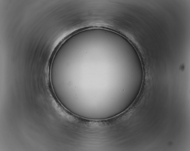 X0000116661032200912291633