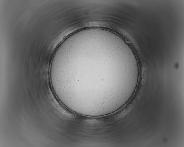 X0000116661033200912291633