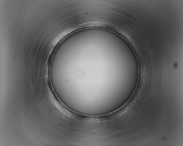 X0000116661034200912291633