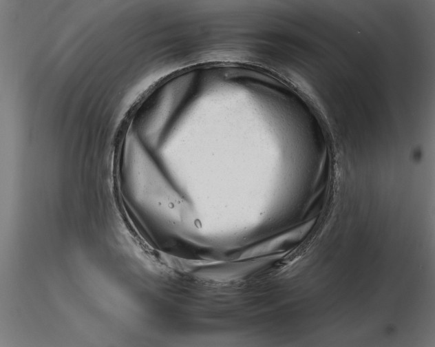 X0000116661035200912291633