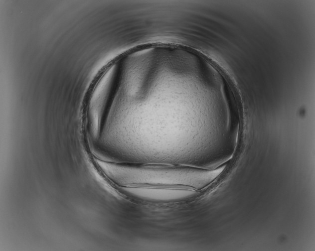 X0000116661037200912291633