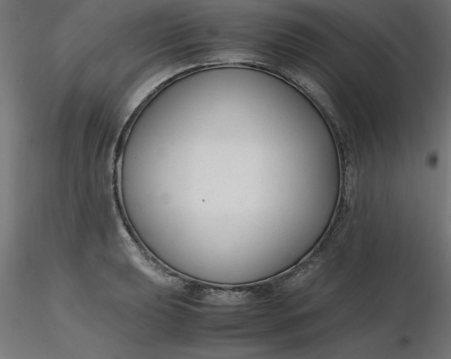 X0000116661039200912291633