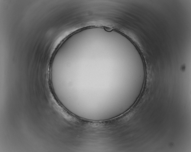 X0000116661040200912291633