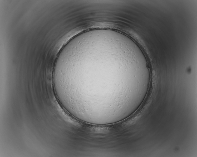 X0000116661041200912291633