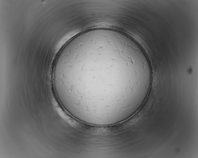 X0000116661042200912291633