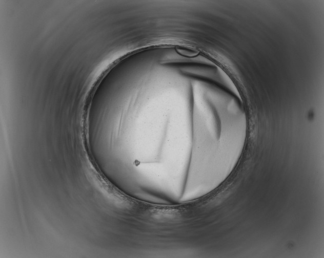 X0000116661043200912291633