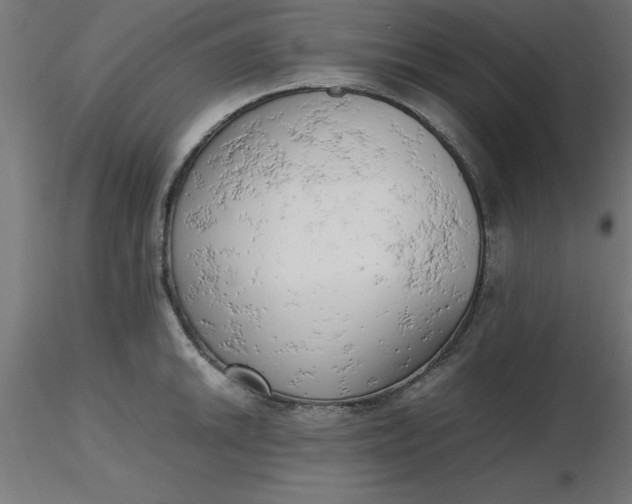 X0000116661046200912291633