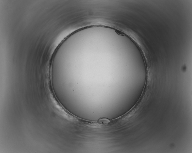 X0000116661048200912291633