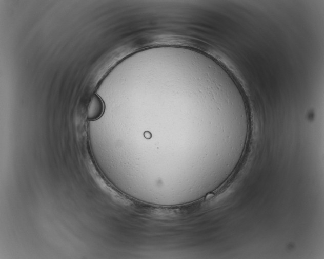 X0000116661049200912291633