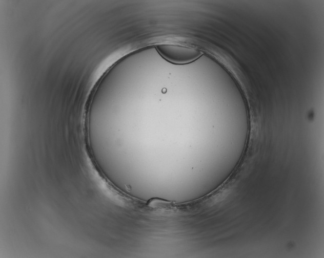 X0000116661050200912291633