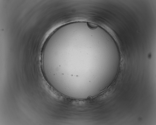 X0000116661051200912291633