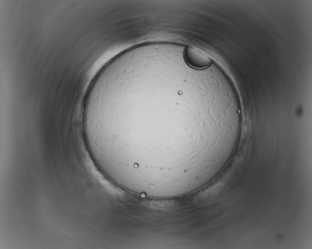 X0000116661053200912291633