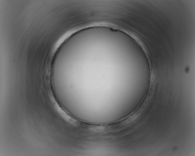 X0000116661054200912291633