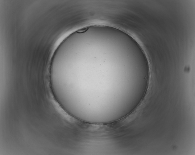 X0000116661056200912291633