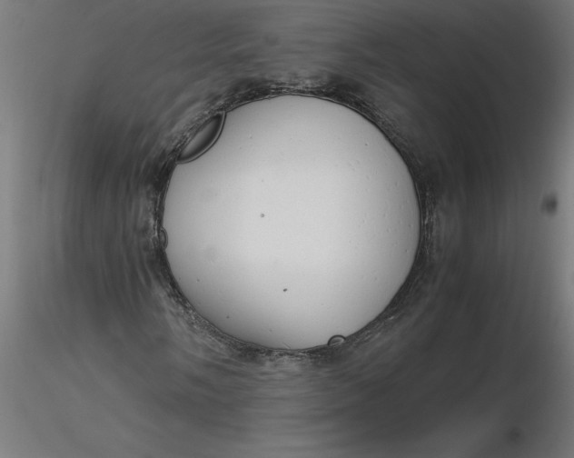 X0000116661058200912291633