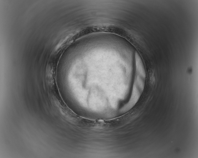 X0000116661060200912291633