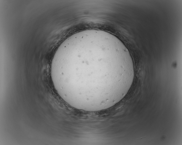 X0000116661061200912291633