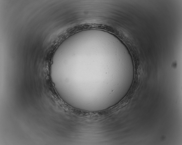 X0000116661062200912291633