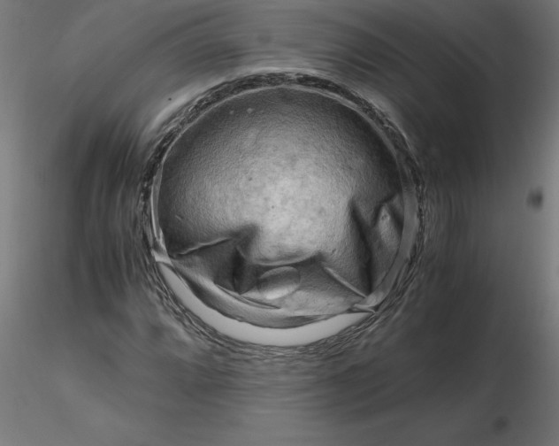 X0000116661064200912291633