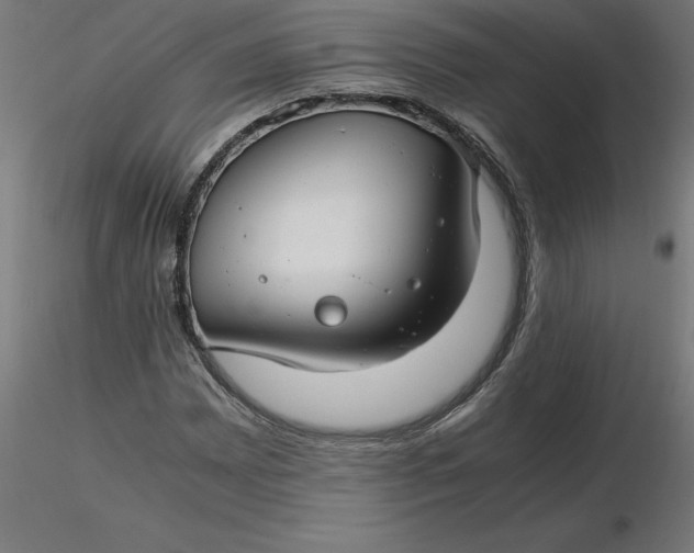 X0000116661065200912291633