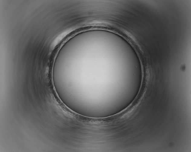 X0000116661066200912291632