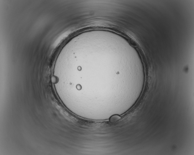 X0000116661067200912291632