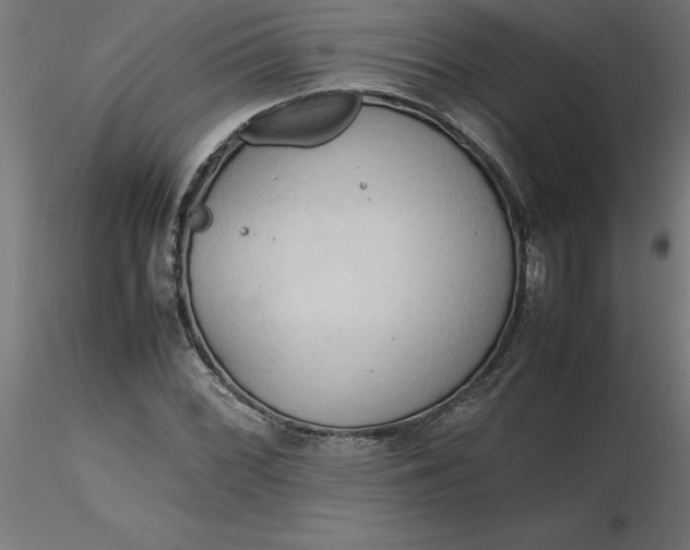 X0000116661068200912291632