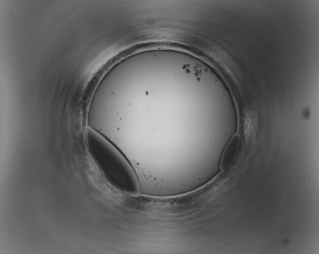 X0000116661069200912291632