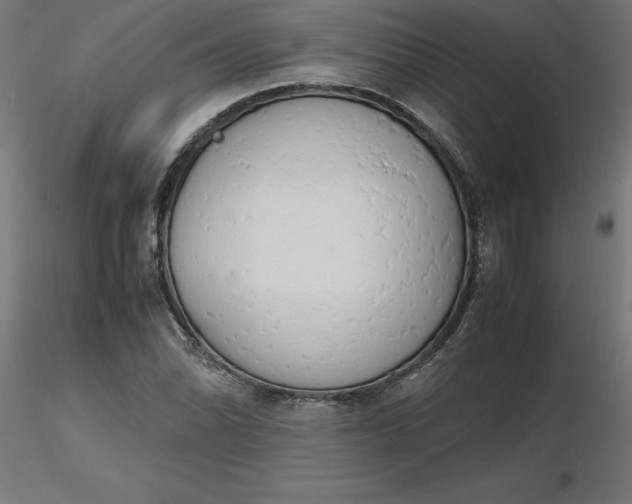 X0000116661070200912291632