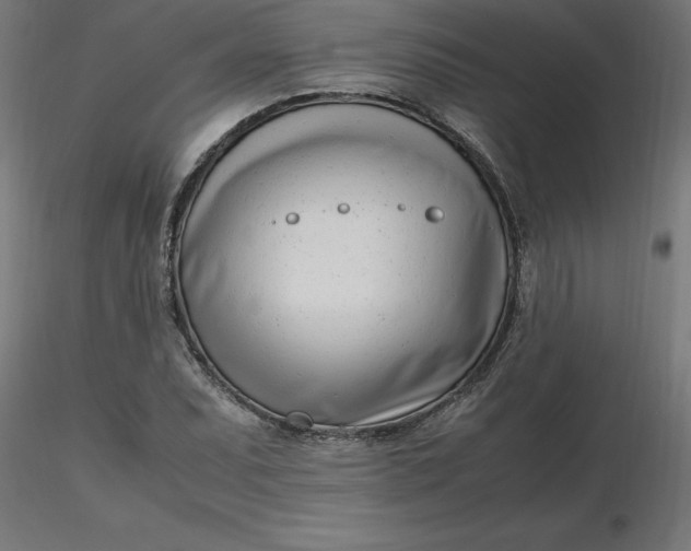 X0000116661071200912291632