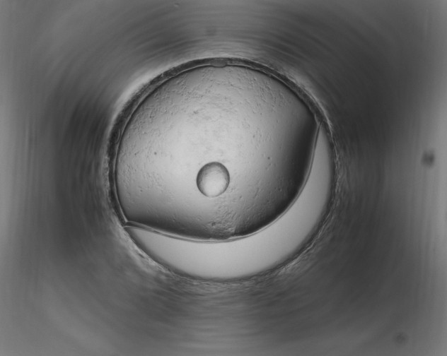 X0000116661072200912291632