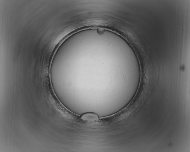 X0000116661073200912291632