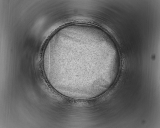 X0000116661074200912291632