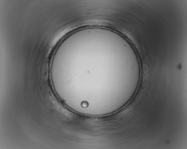 X0000116661075200912291632