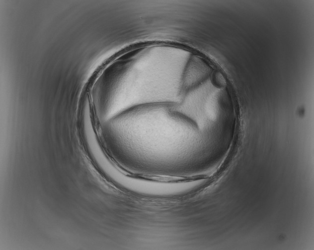 X0000116661077200912291632