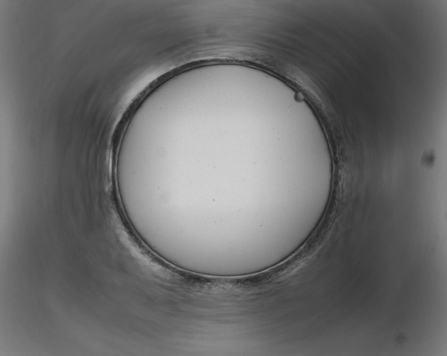 X0000116661079200912291632