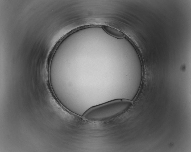 X0000116661080200912291632