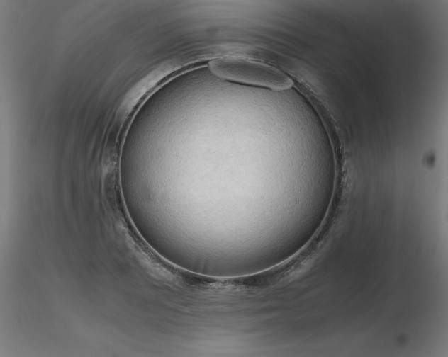 X0000116661081200912291632