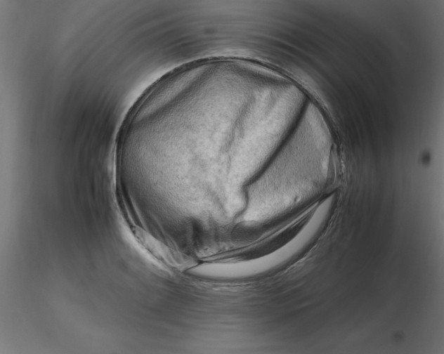 X0000116661084200912291632