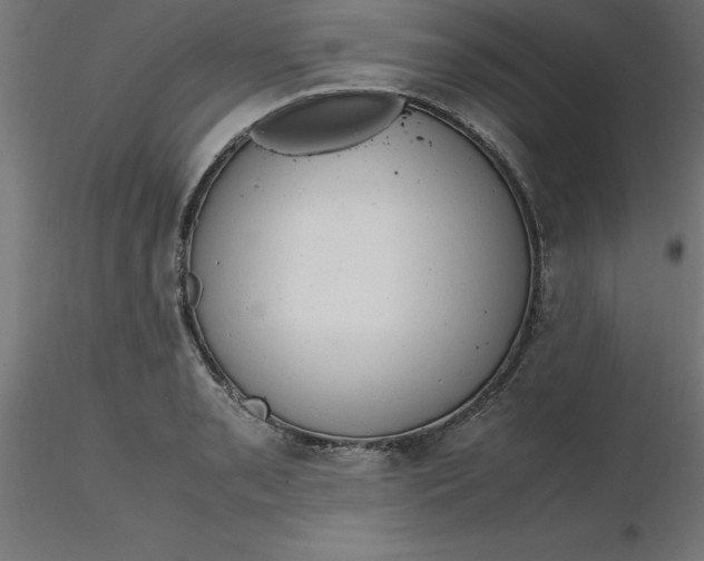 X0000116661085200912291632