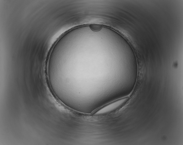 X0000116661086200912291632