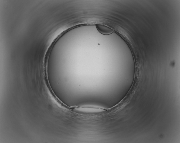 X0000116661087200912291632