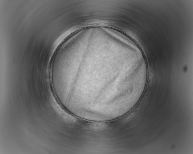 X0000116661090200912291632