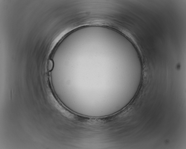 X0000116661091200912291632