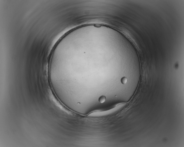 X0000116661092200912291632