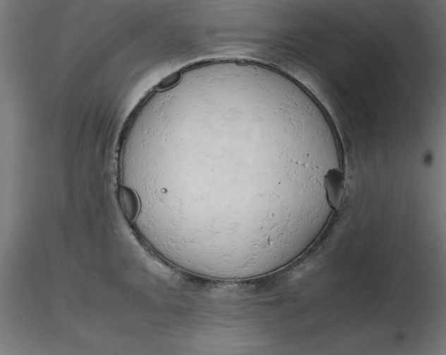 X0000116661093200912291632