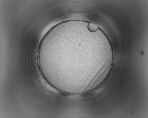 X0000116661094200912291632