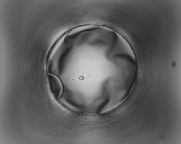 X0000116661095200912291632